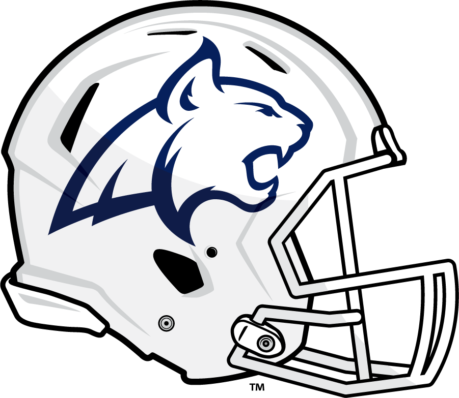 Montana State Bobcats 2016-Pres Helmet Logo t shirts iron on transfers